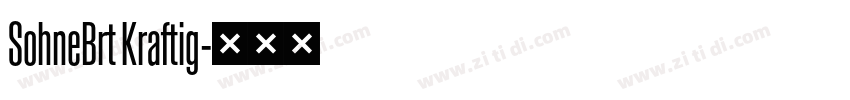 SohneBrt Kraftig字体转换